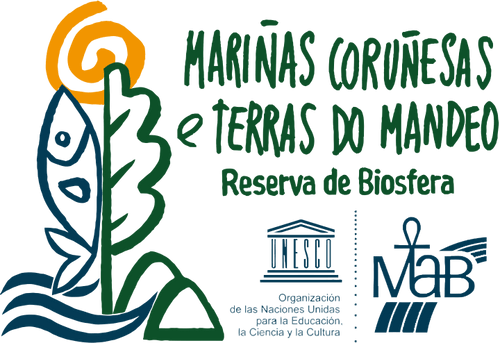 Concello de Oleiros